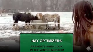 Hay OptiMizer®️ Prevents Sand Colic In the Winter Months ❄️🐴 [upl. by Amice]