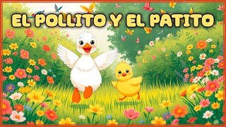 El Pollito y el Patito en la Laguna 🐤🦆💧💧 cuentos cuentosinfantiles amistad cuentosparaniños [upl. by Keemahs]