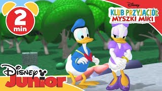 Klub przyjaciół Myszki Miki  Walentynkowy prezent dla Daisy Oglądaj w Disney Junior [upl. by Adnema]