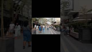 rosebank johannesburg southafrica travel trending viralvideo trending viralvideo shorts [upl. by Ahter149]