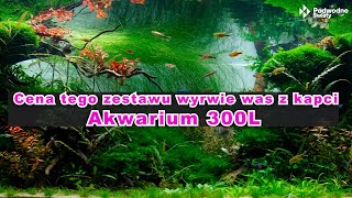 Akwarium 300L Cena tego zestawu wyrwie was z kapci [upl. by Constantin363]