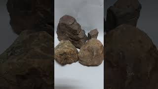 ROCAS PARA DECORAR TERRARIOS ROCAS SEDIMENTARIASJARDINERIA youtubeshorts mineralesnaturales [upl. by Prouty]