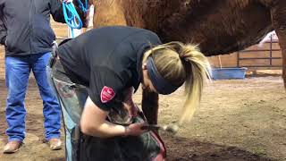 2018 Alberta Farrier Championships at Lausen Indoor Arena [upl. by Coppinger]