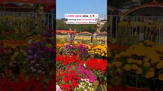 Flower Show 2024 🌹🌻🌸 welcometojamshedpur jamshedpur flowershow2024 shorts [upl. by Narol825]