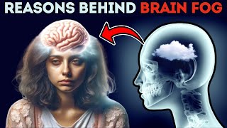 Reasons You May Have Brain Fog  Causes of BRAIN FOG  Brain Fog Symptoms [upl. by Ahseital]