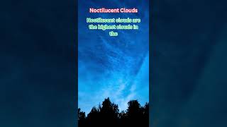 Clouds the interesting Facts Noctilucent Clouds Shorts [upl. by Nnylsia]