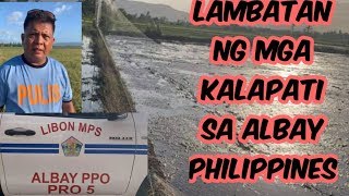 TALAMAK NA LAMBATAN SA ALBAY NG MGA KALAPATI  PHILIPPINES KALAPATI LAMBATAN [upl. by Asseralc]