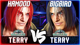 SF6 Terry Crazy MIRROR Matchup  BigBird VS Hamood Street Fighter 6 [upl. by Aierdna814]