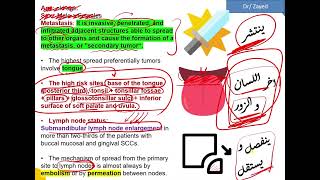 شرح ال Squamous cell carcinoma  TNM System [upl. by Gregoire]