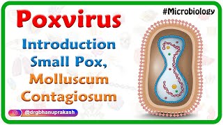 Poxvirus Microbiology USMLE  Small pox Molluscum contagiosum [upl. by Oatis515]