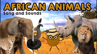 African Safari Animals and Sounds  Fun Childrens Song [upl. by Arreic]