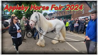 Appleby Horse Fair 2024 [upl. by Atsugua]