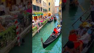 An amazing city Located on the water 😍 shorts facts venice [upl. by Teteak30]