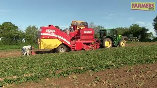 Mechanical new potato harvesting kicksoff in Jersey [upl. by Acinorej639]