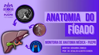 Fígado  Monitoria de Anatomia Médica PUCPR [upl. by Maxine]