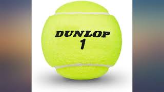 Dunlop ATP Championship Tennis Balls review [upl. by Hal]