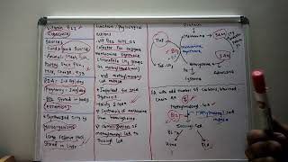 Vitamin B12  Cobalamin  USMLE step 1  Lecture 10 [upl. by Ranit]