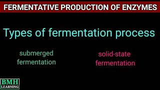 Fermentative Production Of Enzymes  General Procedure For Enzyme Production [upl. by Glory973]