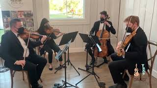 Intl Players Anthem I Choose You  UGK String Quartet Cover [upl. by Drabeck]