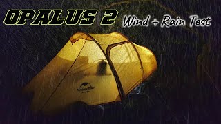 Naturehike OPALUS 2  Heavy RAIN  WIND Test Night  Camp in Rain [upl. by Orthman574]