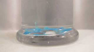 Growing Coppersulfate Crystals [upl. by Sile]