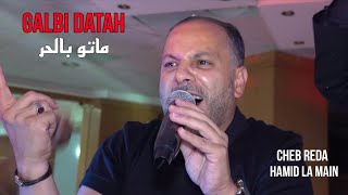 Cheb Reda 2024  Galbi Datah ماتو بالحر ©️ Avec Hamid La Main Live Mariage [upl. by Dalli346]