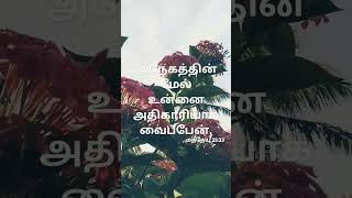 10082024 today Bible promise um alagana kangal ennai kandathalemusic [upl. by Aettam701]