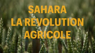 Sahara  La révolution agricole [upl. by Brick]