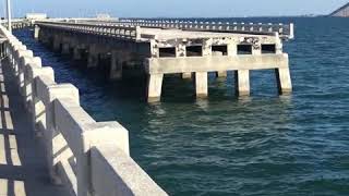 Sky way bridge Tampa Bay Florida Salt Water bridge fishing [upl. by Ellenid174]