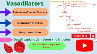 Vasodilatorspharmacology cardiovascular pharmacology  pharmacology cvspharmacology medicine [upl. by Naujyt396]