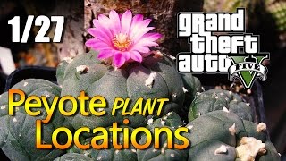 GTA 5  Peyote Plant Locations 0127 [upl. by Bander]