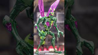 Transformers Animated WaspinatorNa H60W Mimic transformation transformers [upl. by Yetah]