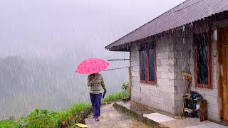 HEAVY RAIN IN BEAUTIFUL HILLY VILLAGE  HEAVY RAIN AND STRONG THUNDER SOUNDS [upl. by Nolyarg]