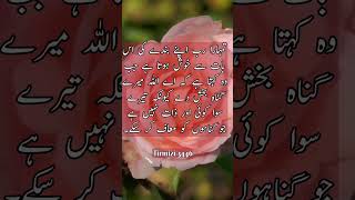 Tumhara Rab Apnequotes urdupoetry motivation [upl. by Nosydam]