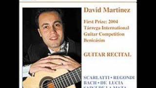 David Martinez guitar [upl. by Imaon390]