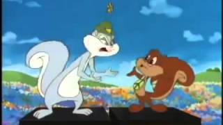 Slappy Squirrel Animaniacs Whos On Stage mp4 [upl. by Nnylyt]