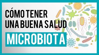 🔴 NUTRICIÓN y MICROBIOTA Conoce las claves para tener una buena salud Dra LOLA de la PUERTA [upl. by Frame]