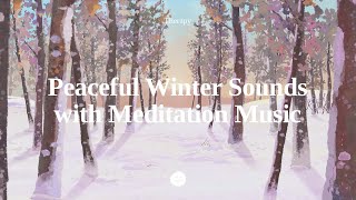 Therapy Magical Frozen Forest Ambience with Relaxing Music  Snowfall Sounds in Winter Landscape [upl. by Remo]