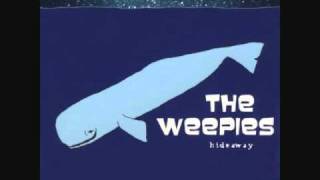 The Weepies  Antarctica [upl. by Lucilia]