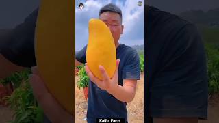 😋china के फल इतने ज़्यादा बड़े और मीठे कैसे होते हैं💯 facts viral trending shorts china [upl. by Saville]