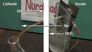 Make Sodium Hydroxide by Electrolysis with a Nafion Membrane Cell [upl. by Ahsienad661]