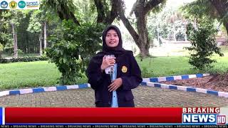 Analisis PT MAYORA INDAH Tbk Kelompok 2 Akuntansi Universitas Jember [upl. by Domph]