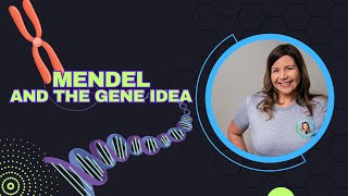 Mendel and the Gene Idea Bio Ch 14 [upl. by Nilatak]