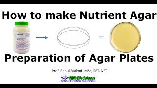 Preparation of nutrient agar plates l How to make agar plate [upl. by Hyacinthie]