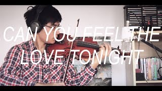 Lion King  quotCan you feel the love tonightquot Violin Cover [upl. by Faxun]