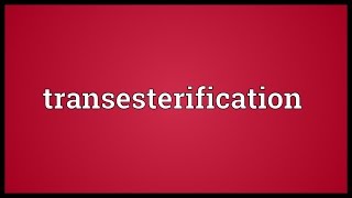 Transesterification Meaning [upl. by Eecram]