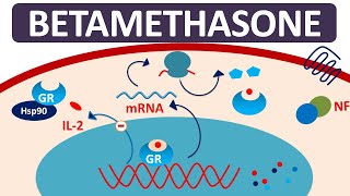 Betamethasone  Mechanism precautions side effects amp uses [upl. by Llehcar]