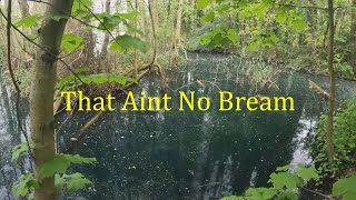 Stalking Shoulders  Yateley Copse Lake [upl. by Adlay770]