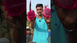 Dragon Fruit cutting shorts farming minivlog aftabvlog shortvideo agriculture aftabshaikh [upl. by Zasuwa]