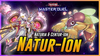 Naturia amp CenturIon Deck at Rank Match 2024  Master Duel  遊戯王 [upl. by Penny993]